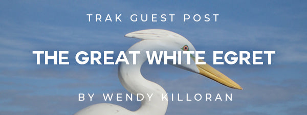 The Great White Egret by Wendy Killoran — TRAK Guest Post