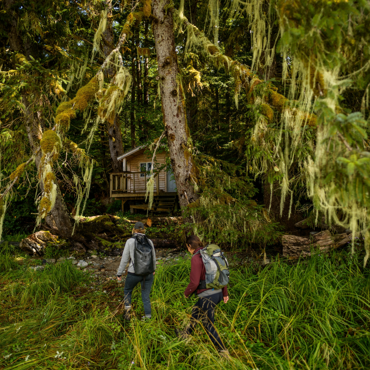 Great Bear Rainforest Hot Springs - TRAK Expeditions: August 2026