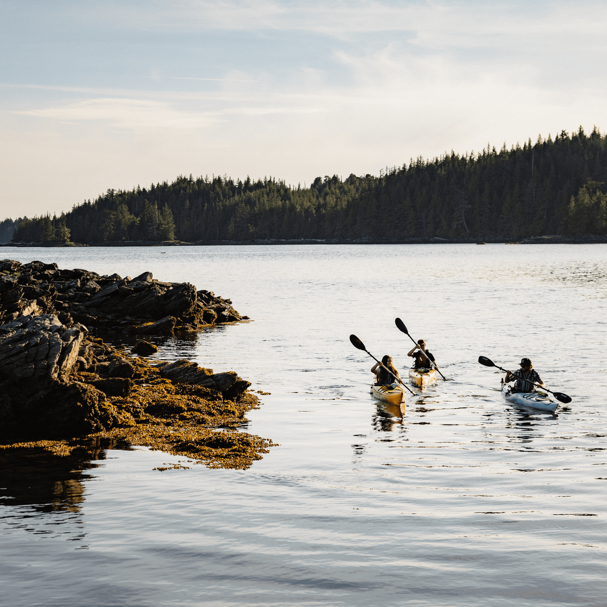 Great Bear Rainforest Hot Springs - TRAK Expeditions: August 2026