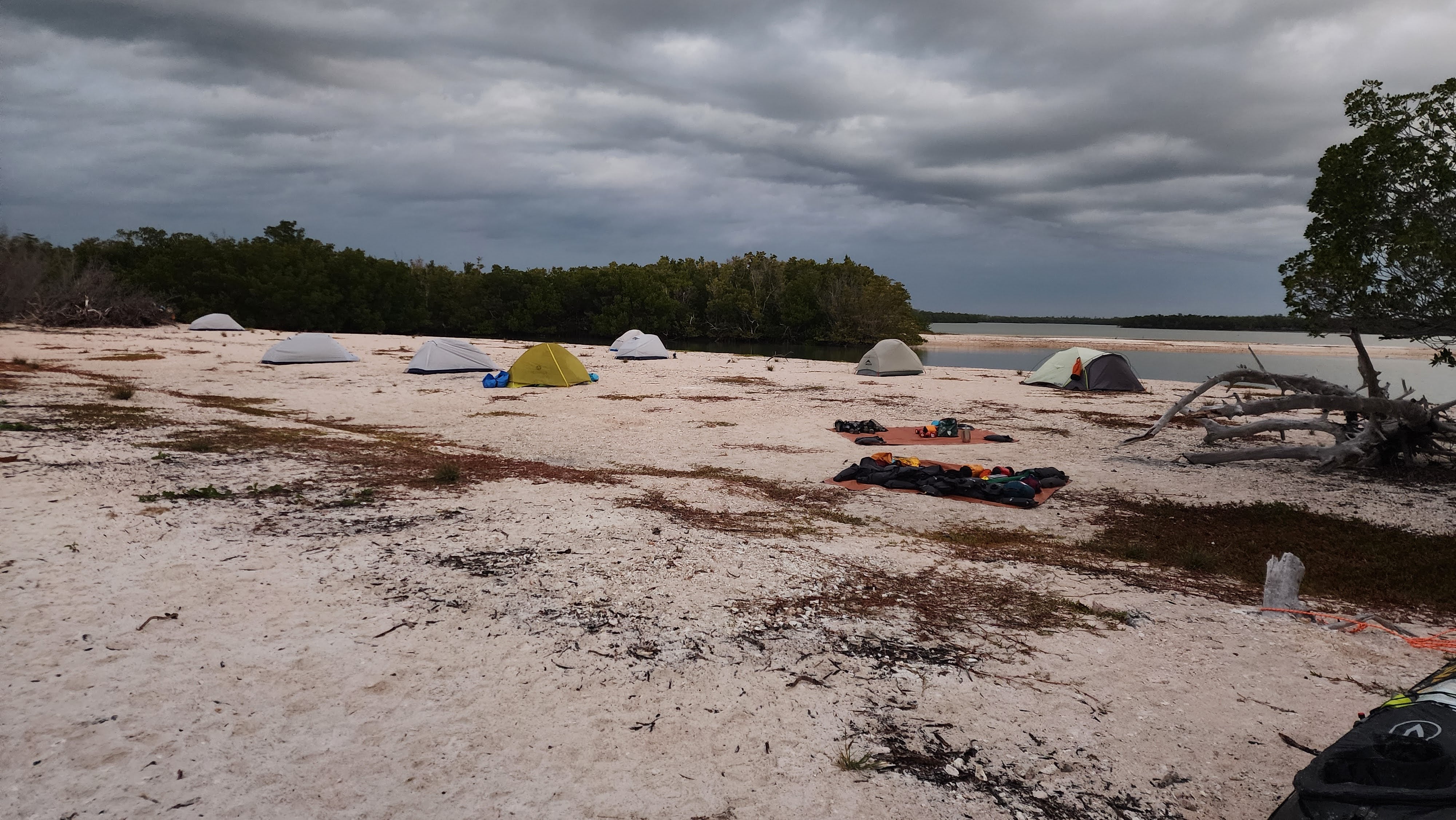 Ten Thousand Islands & Everglades Sea Kayak Skills Expedition: Dec 28, 2026 - Jan 2, 2027