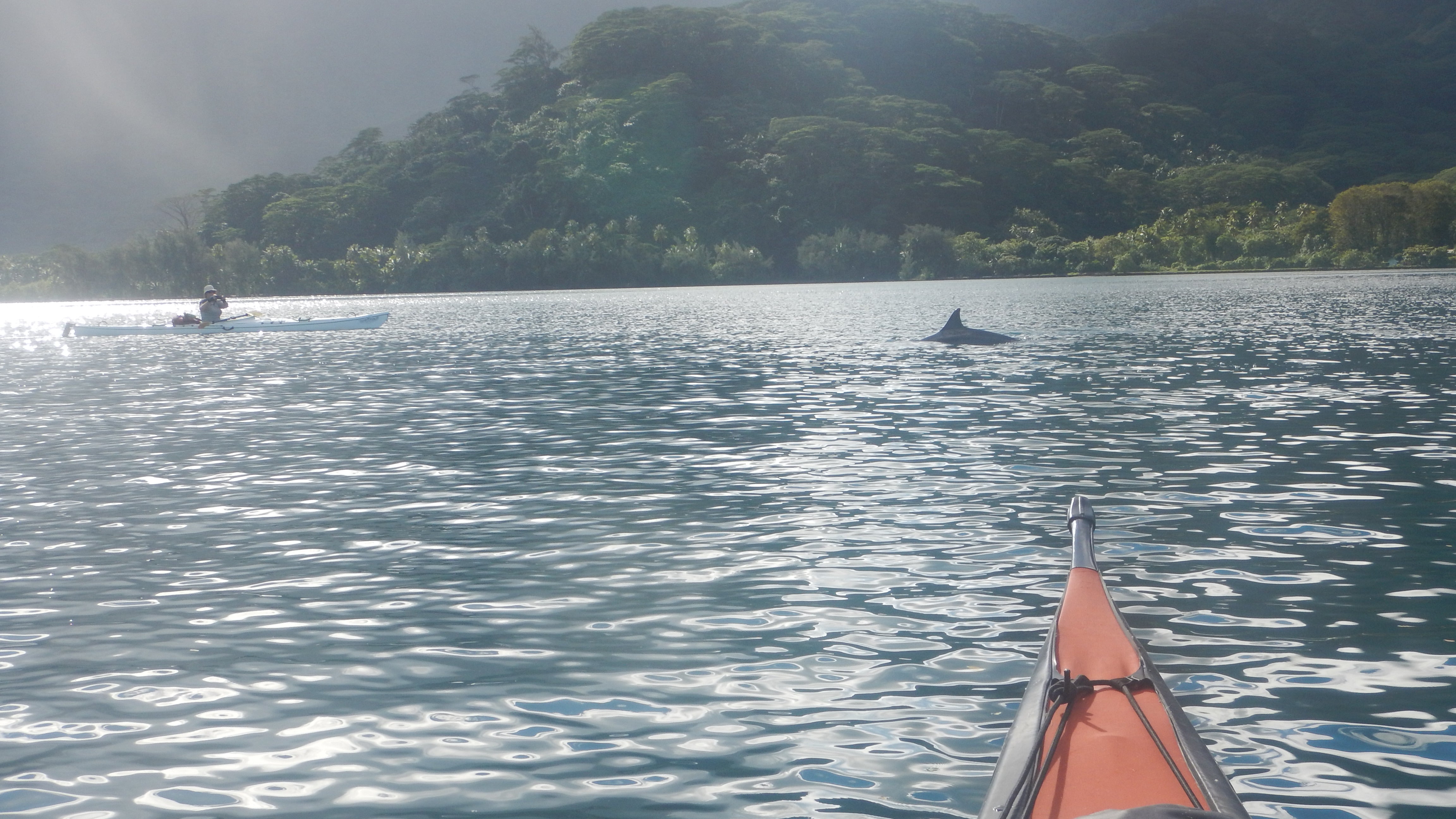 French Polynesia Adventure - TRAK Expedition: May, 2026