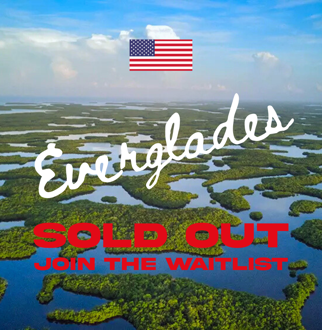 Ten Thousand Islands / Everglades Sea Kayak Skills Expedition: New Years 2026/27 - WAITLIST