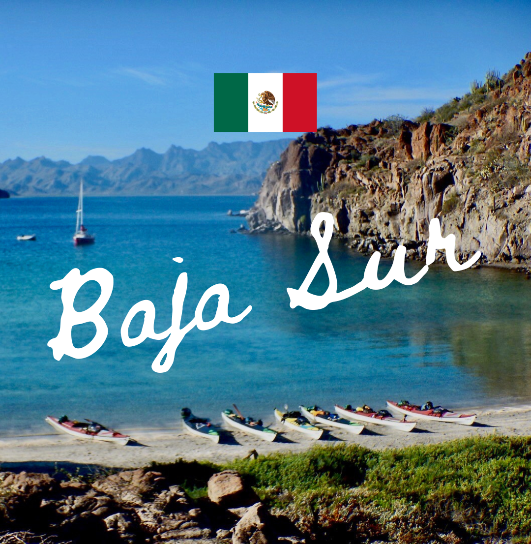 Expédition Baja Sur - TRAK Tour : novembre 2025 et mars 2026