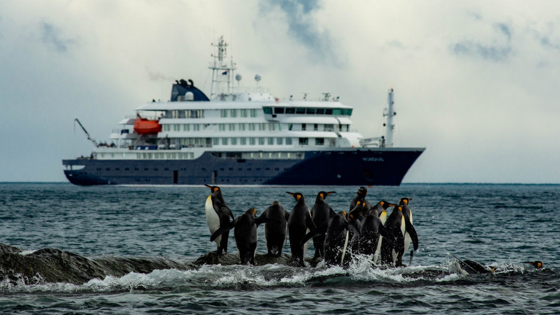 Arctic Norway Expedition - TRAK Tour: June 20-27, 2026