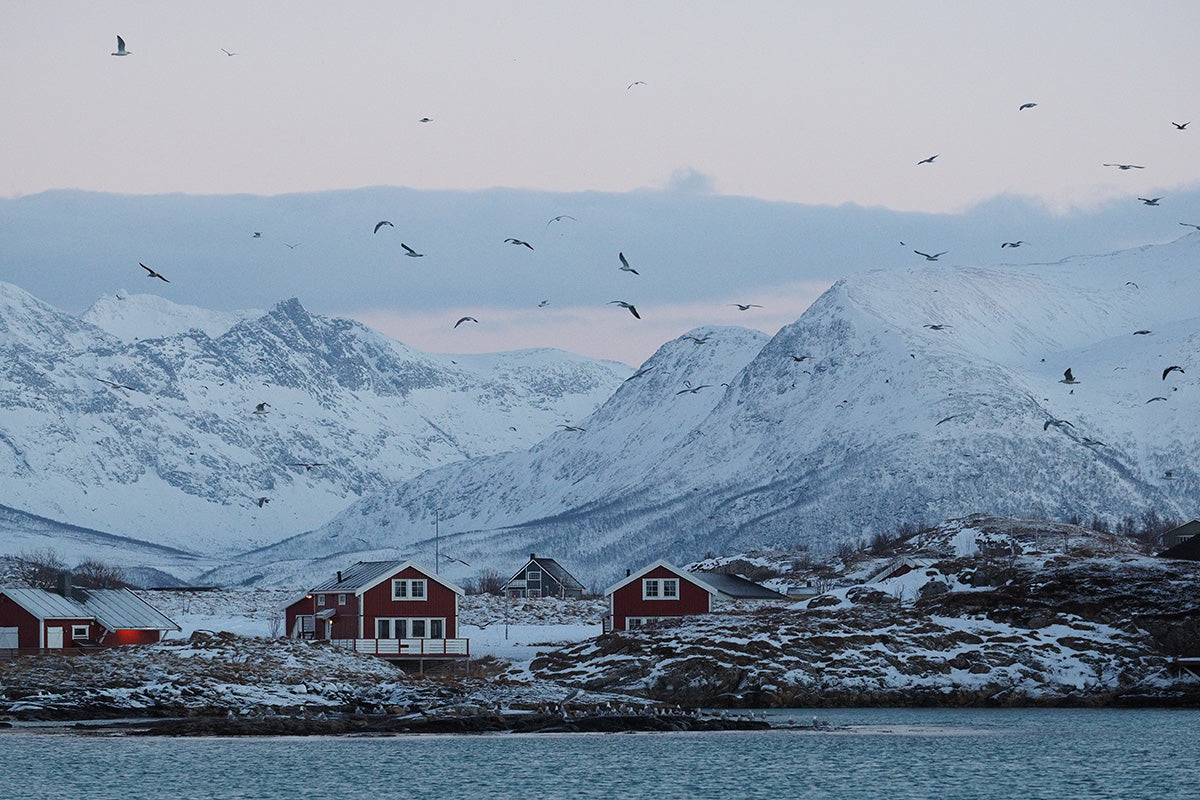 Arctic Norway Expedition - TRAK Tour: June 20-27, 2026