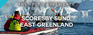 The Arctic Experience