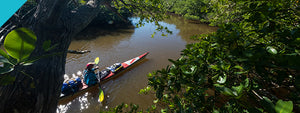 TRAK Dispatches: The Everglades