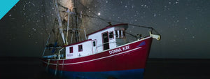 Exploring a Shipwreck on the Forgotten Coast of Florida
