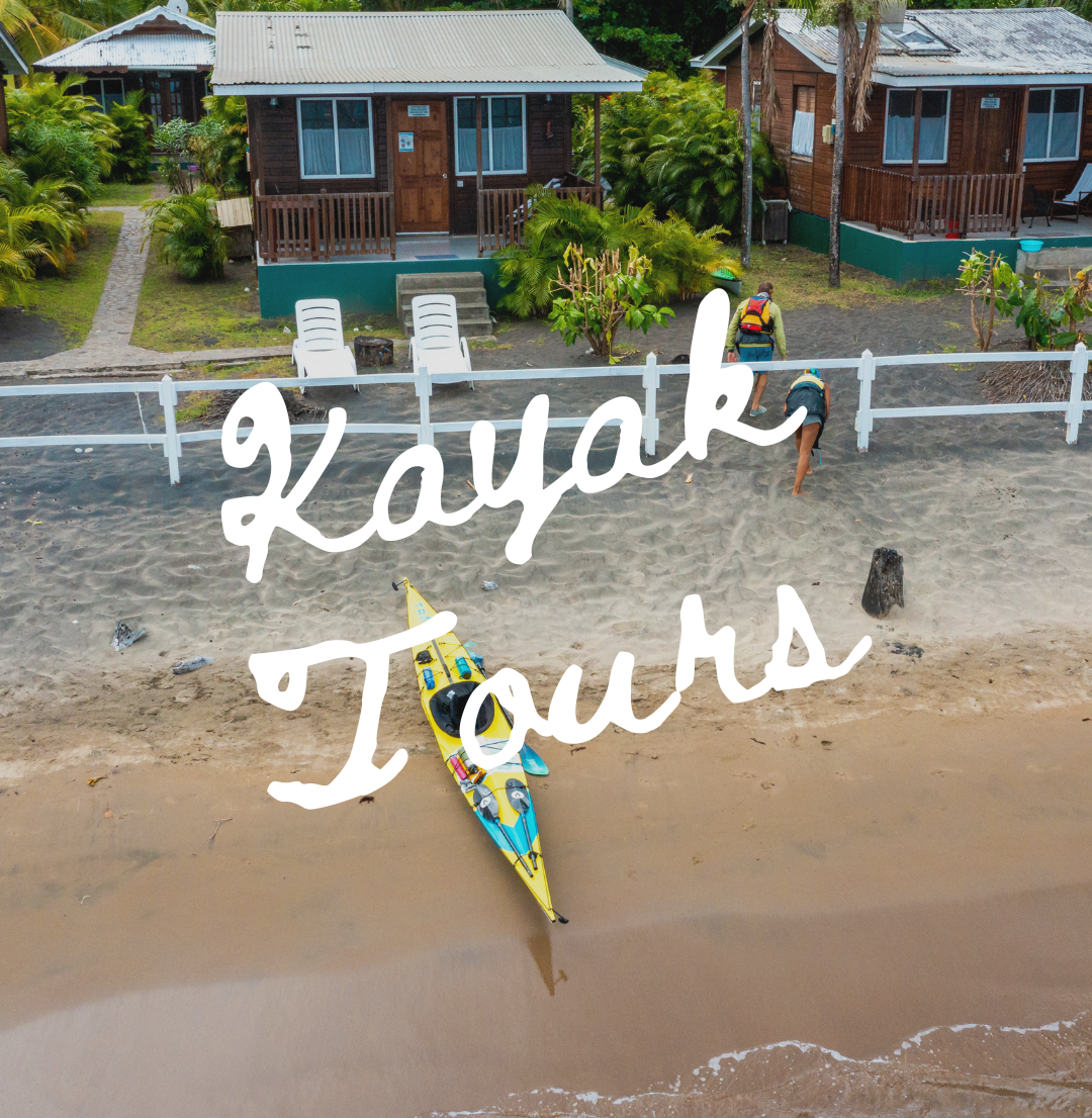 TRAK Tours