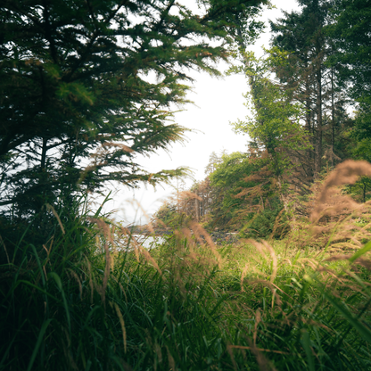 Great Bear Rainforest Hot Springs - TRAK Expeditions: August 2026