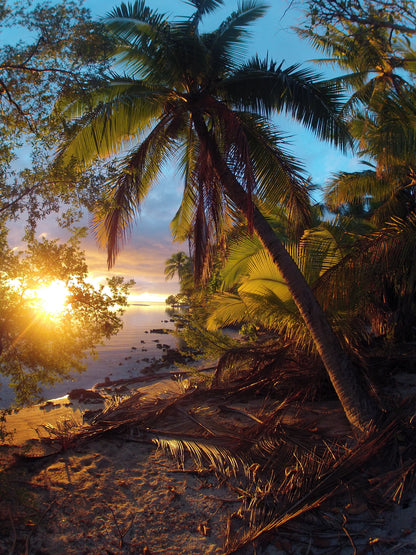 French Polynesia Adventure - TRAK Expedition: May, 2026