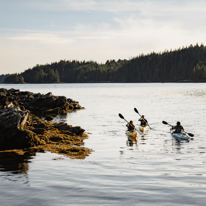 Great Bear Rainforest Hot Springs - TRAK Expeditions: August 2026