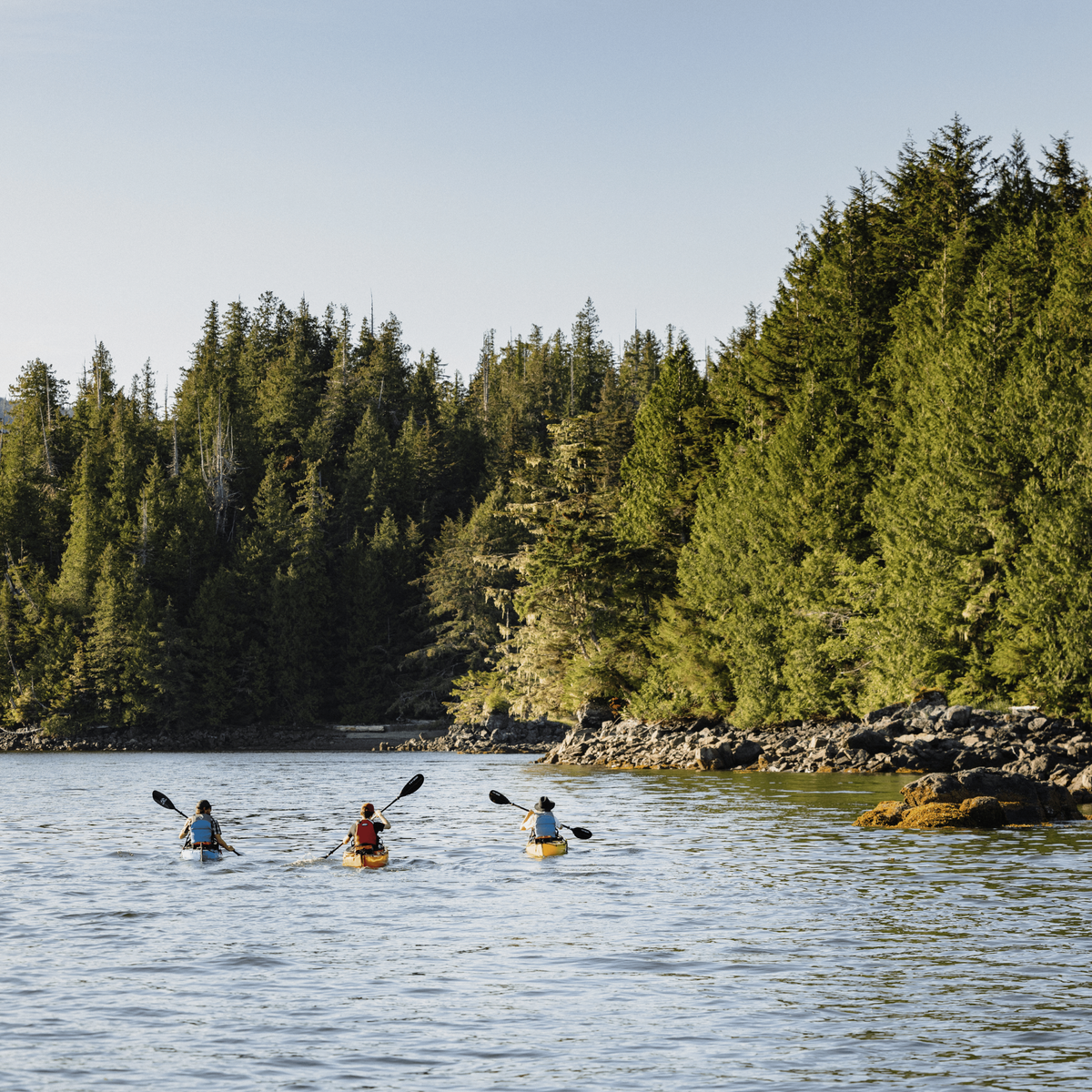 Great Bear Rainforest Hot Springs - TRAK Expeditions: August 2026