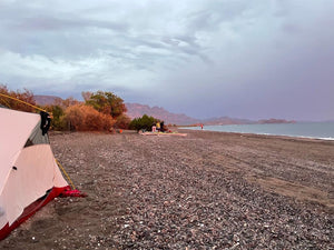 Equinox Expedition: Baja Sur – March 21-28, 2025