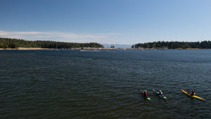 August Test Paddles - Victoria - Vancouver - Seattle