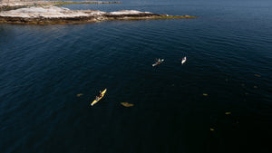August Test Paddles - Victoria - Vancouver - Seattle