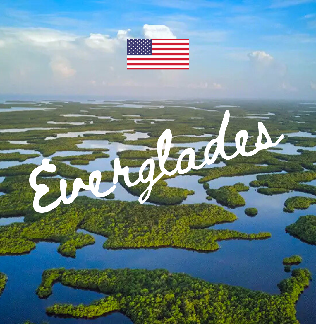 Ten Thousand Islands & Everglades Sea Kayak Skills Expedition: Dec 28, 2026 - Jan 2, 2027
