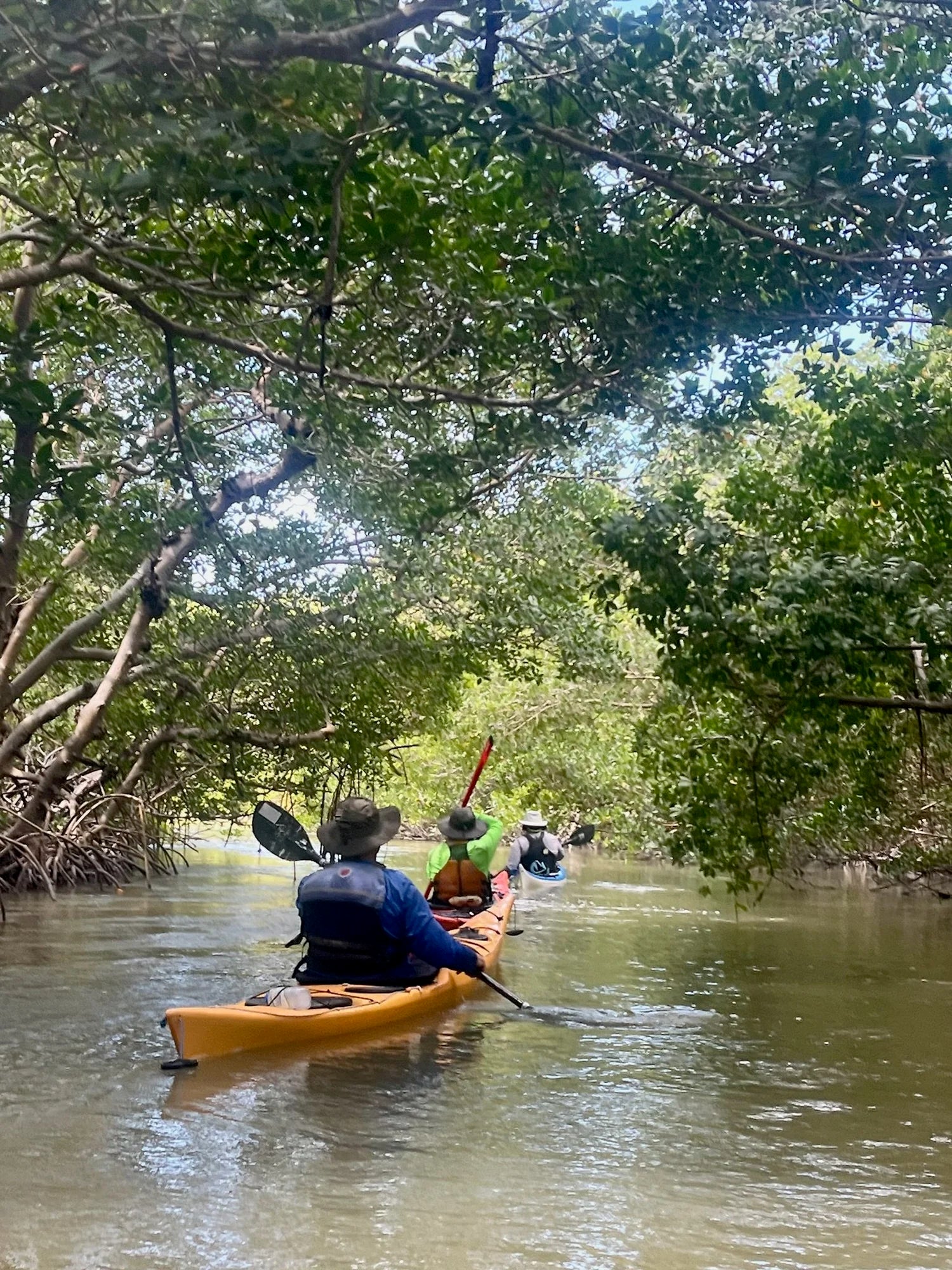 Ten Thousand Islands & Everglades Sea Kayak Skills Expedition: Dec 28, 2026 - Jan 2, 2027