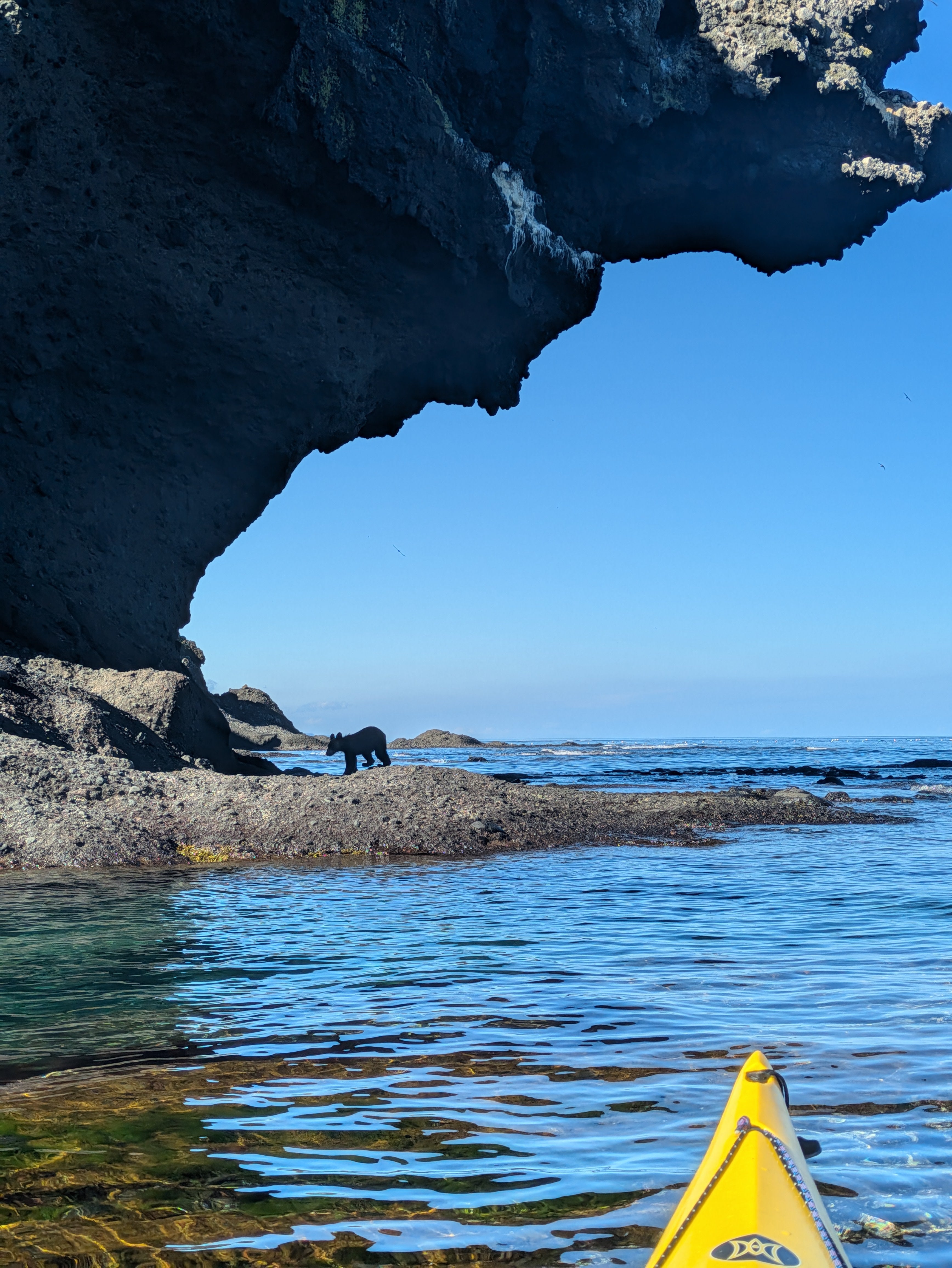 Hokkaido, Japan: TRAK Tour – June 2026 & 2027