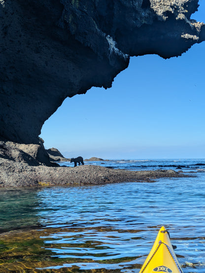 Hokkaido, Japan: TRAK Tour – June 2026 & 2027