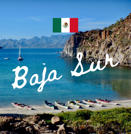 Expédition Baja Sur - TRAK Tour : novembre 2025 et mars 2026