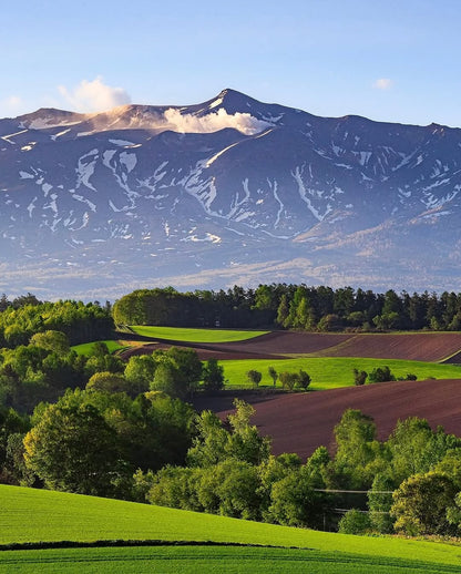 Hokkaido, Japan: TRAK Tour – June 2026 & 2027