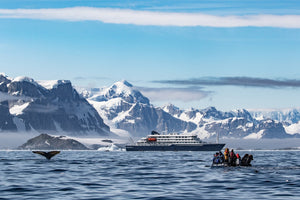 TRAK Tour - Arctic Norway Expedition June 16-23, 2025