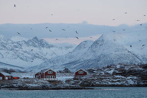 TRAK Tour - Arctic Norway Expedition