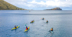 TRAK Tour - Waitukubuli Sea Trail