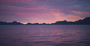 Equinox Expedition: Baja Sur – March 21-28, 2025