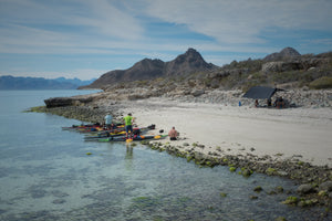 Equinox Expedition: Baja Sur – March 21-28, 2025