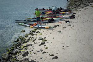 Equinox Expedition: Baja Sur – March 21-28, 2025